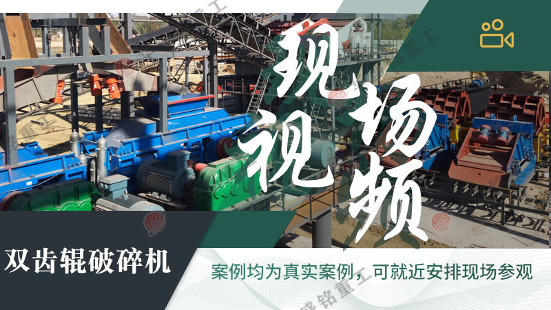 雙齒輥破碎機(jī) 雙齒輥破碎機(jī)